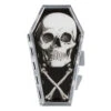 Anatomical Skull Coffin Compact -Kreepsville Clothing Store CCASCB